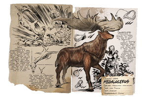 megaloceros