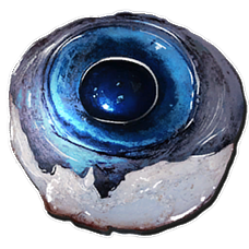 oeil de tusoteuthis Alpha